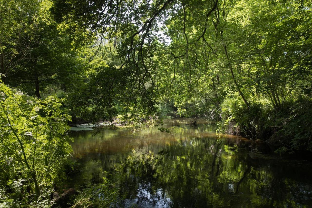 Manoir Du Vau D Arz Gites Et Chambres D Hotes Avec Piscine Malansac Exteriör bild